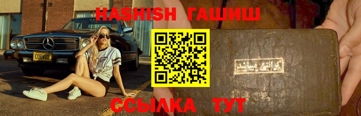 ГАШ Premium Елизово