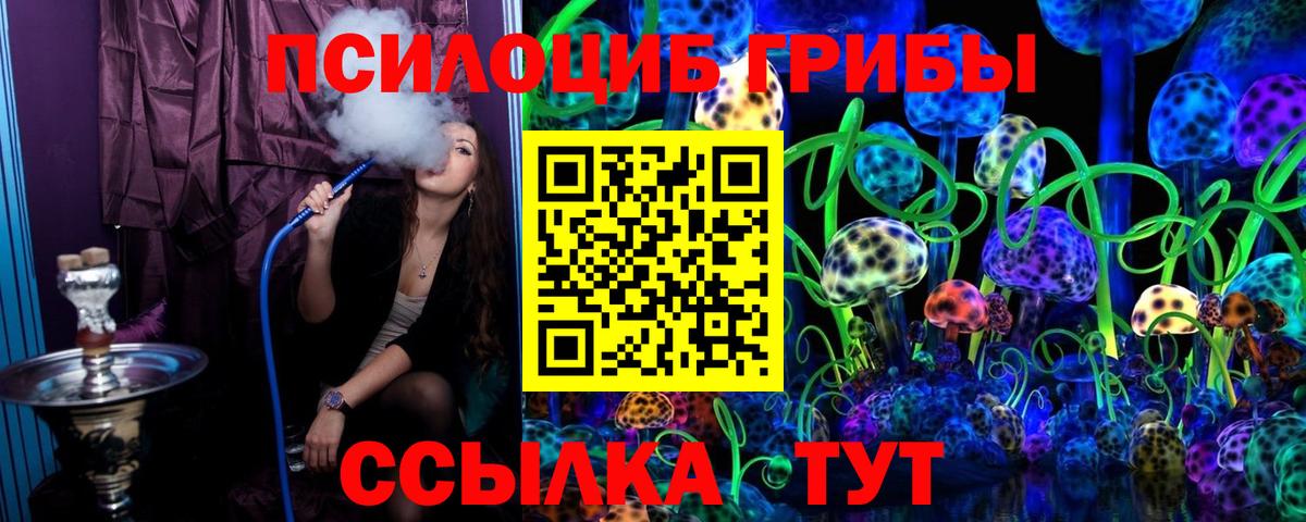 Елизово  Галлюциногенные грибы Magic Shrooms  Вход с VPN 